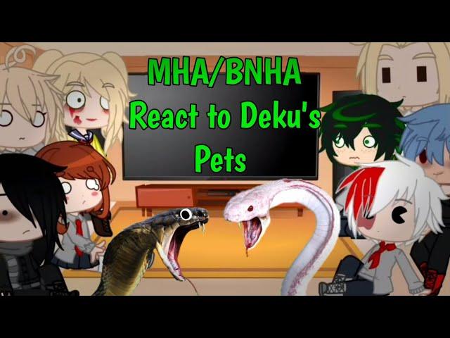 MHA/BNHA Character React to Deku's Pets/Midoriya's animal long/Manga/MHA/BNHA/Gacha Club