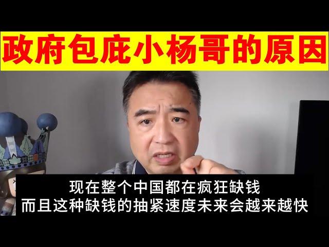 翟山鹰：地方政府护着小杨哥的原因丨三只羊丨疯狂小杨哥丨泛茶