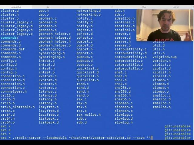 HNSW loading times (Redis vector sets).