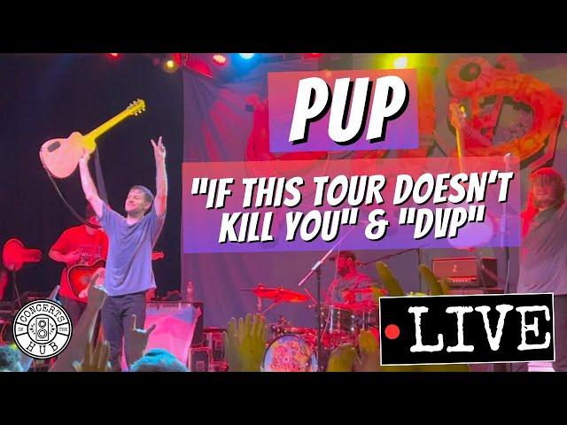 PUP "If This Tour Doesn't Kill You" and "DVP" LIVE