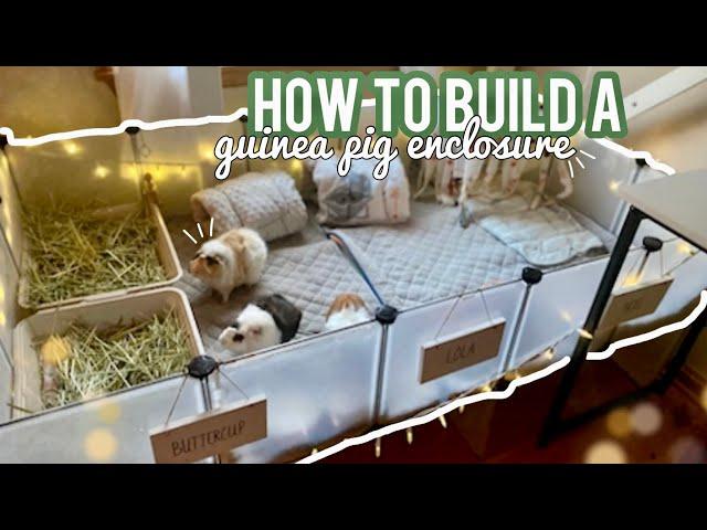 HOW TO BUILD A GUINEA PIG ENCLOSURE | *how I built mine 2023*