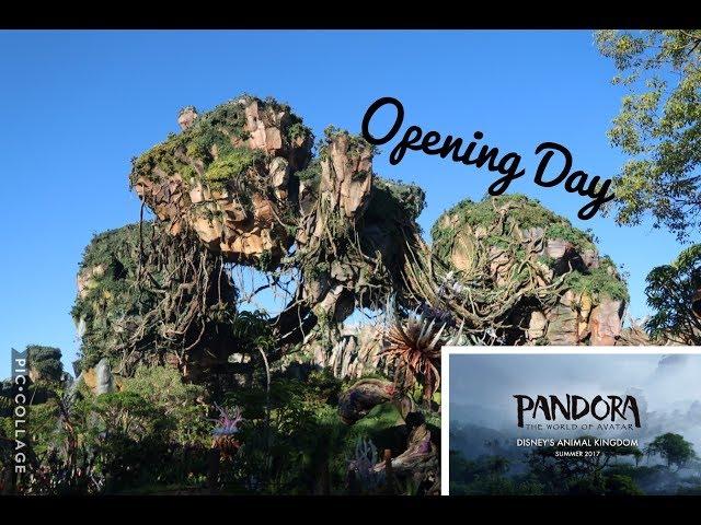 Pandora OPENING DAY VLOG