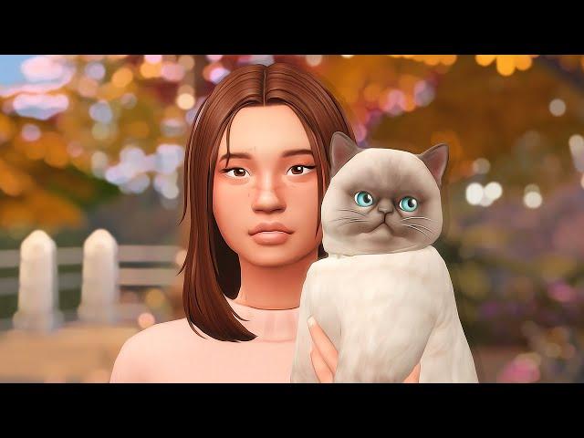 Cats, Cupcakes & a Cosy New Let's Play  // The Sims 4: A Slice Of Shortbread (ep 1)