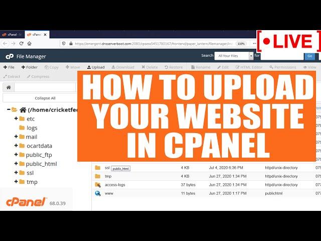 [LIVE] How to upload your website in cPanel?