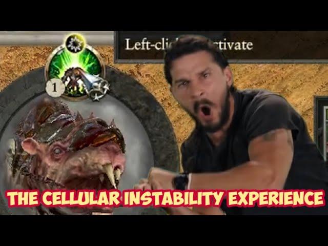 The Cellular Instability Experience.