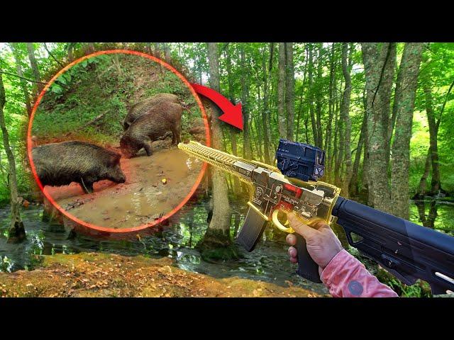 Hunting Nasty Invasive Wild Hogs Using 24 Karat Gold Rifle - Epic Fail