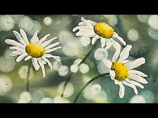 Daisies + Bokeh Background - Step by Step Watercolour Tutorial