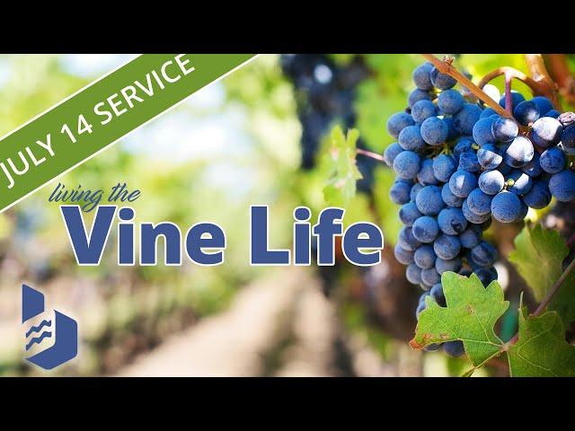 July 14 2024 - Living the Vine Life