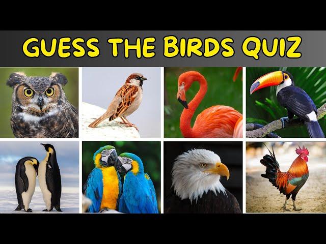 Guess The Birds Quiz | Birds Quiz