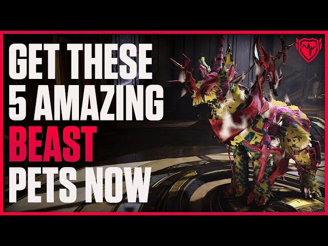 Warframe: 5 Amazing Pets You Need in Warframe Right Now - Beast Companions 2024 Reworked