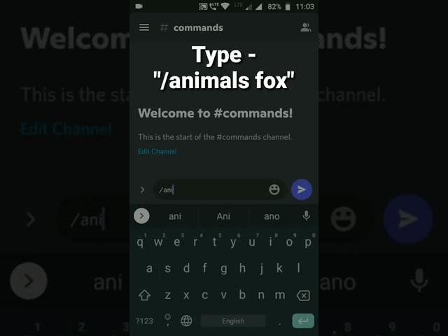 How to get Fox image in Discord using koya bot #roduz #discord #animals #fox