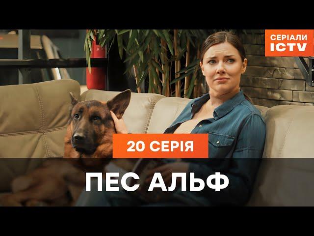 Пес Альф 1 сезон 20 серія | ДЕТЕКТИВИ | СЕРІАЛ ICTV| КОМЕДІЇ