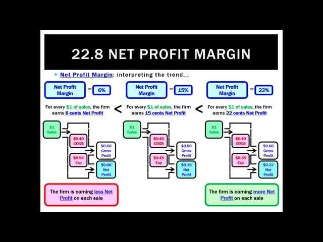 22.8 Net Profit Margin