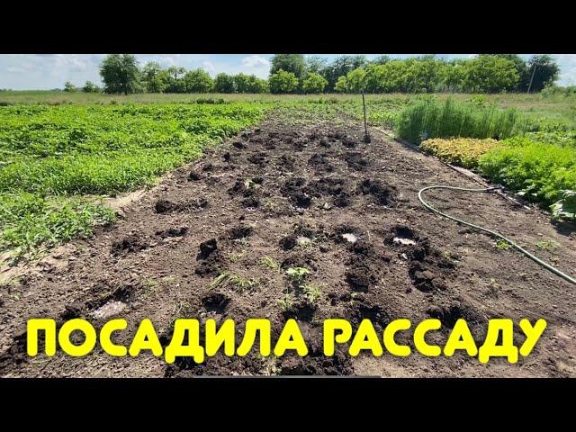 ОБРАБАТЫВАЮ КАРТОШКУ ОТ ЖУКОВ /ПОСАДИЛА РАССАДУ /УБОРКА ДВОРА /ПРИЕХАЛА К ЖЕНЕ