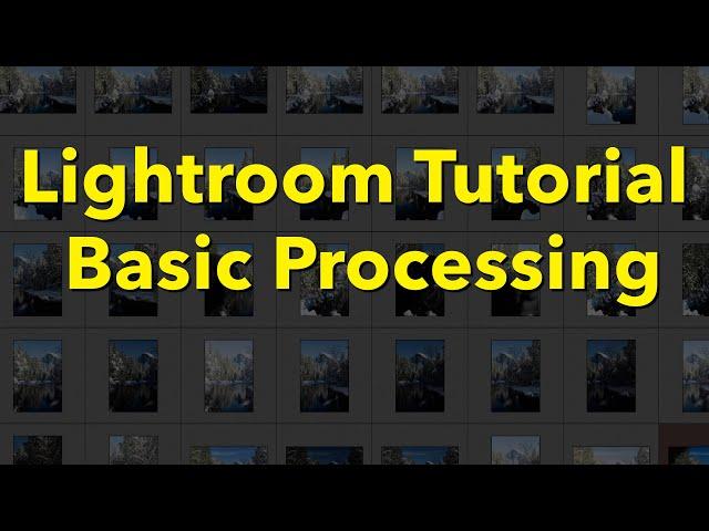 Lightroom Classic Basic Processing