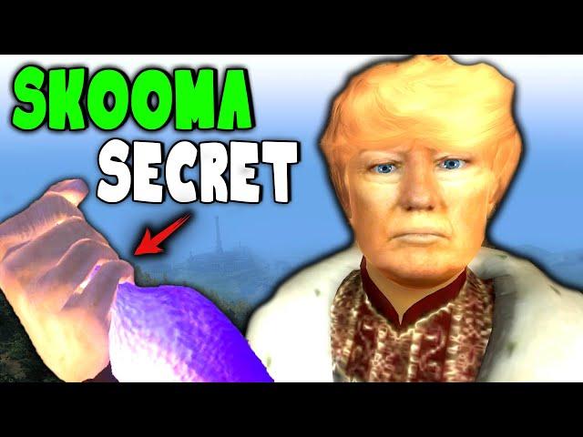 Exposing Oblivion's Skooma Den | Confronting Their Secret Supplier!!