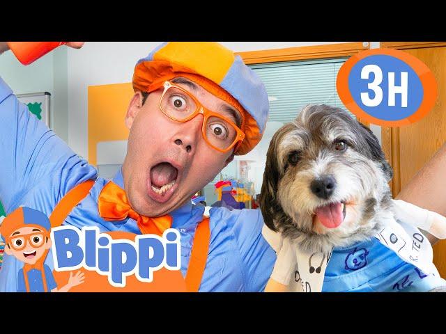 Blippi Meets a Special Dog and Hospital Helpers!  Inspiring Heroes | Educational Videos for kids