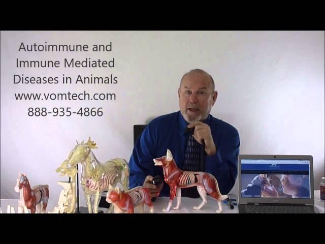 Autoimmune and Immune Mediated Diseases in Animals