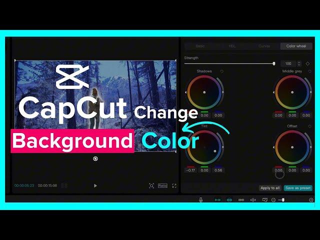 Make Video Background Black And White in CapCut | Remove Color From Background in CapCut