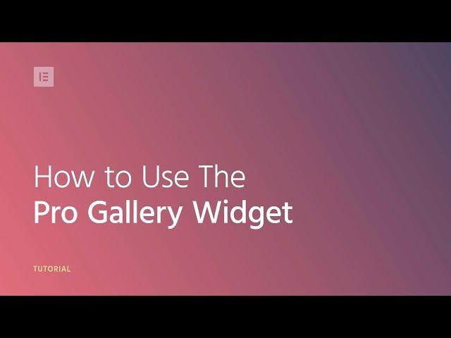 How to Use The Pro Gallery Widget in Elementor