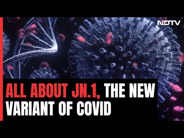 All You Need To Know About The New COVID Variant JN.1