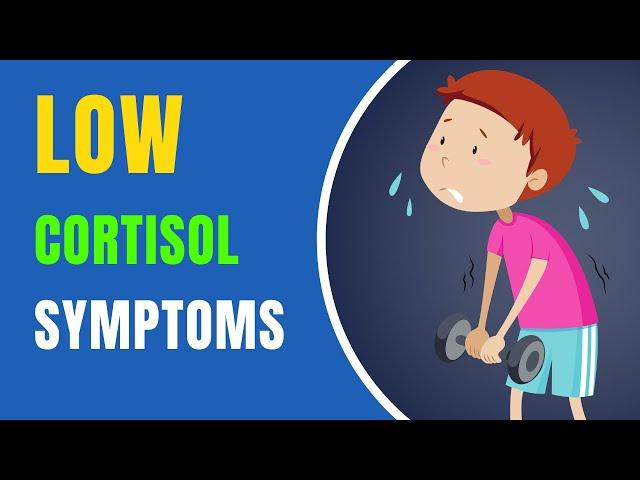 Symptoms Of Low Cortisol Levels | The Impact of Low Cortisol Levels on Your Health