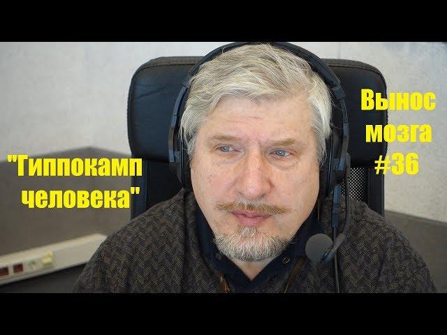 Гиппокамп человека Сергей Савельев (Вынос мозга #36)