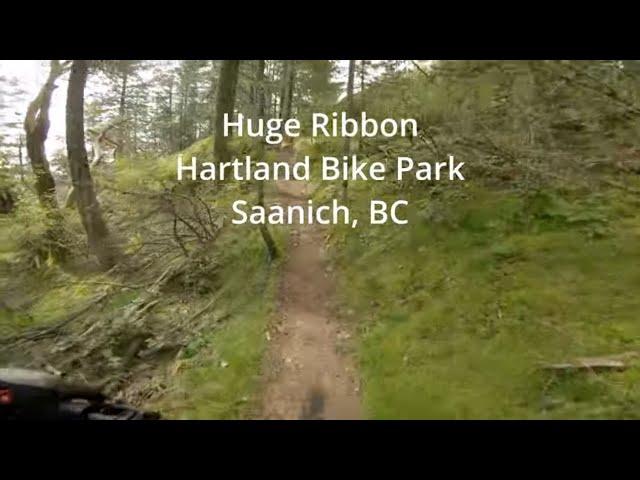 Huge Ribbon at Hartland Bike Park, Saanich, BC