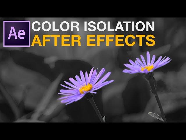 Leave Color or Color Isolation in adobe after effects tutorial