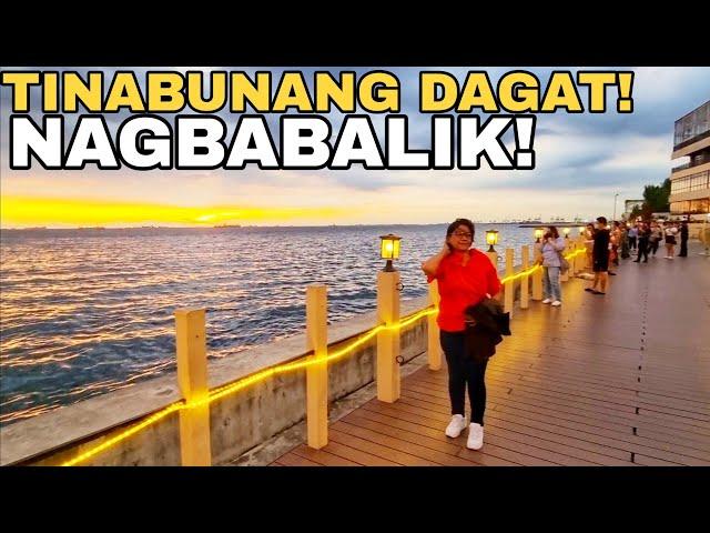 MEGA PROJECT MANILA BAY RECLAMATION UPDATE 05-11-2024 PASAY CITY 360 HECTARES