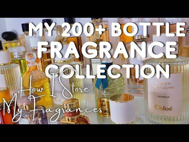 My 200+ Bottle Perfume Collection | How I Store My Fragrances