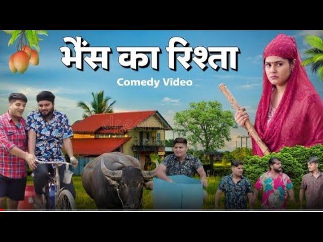 भैंस का रिश्ता | the mridul || pragati || Nitin mridul ki comedy || #themridul