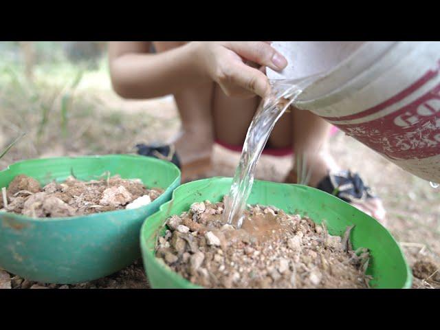 How to make a very simple planter from a ball | Make a simple home planter