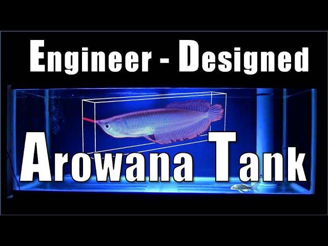 【Silver Arowana】How a Japanese Engineer Setup the Arowana Tank