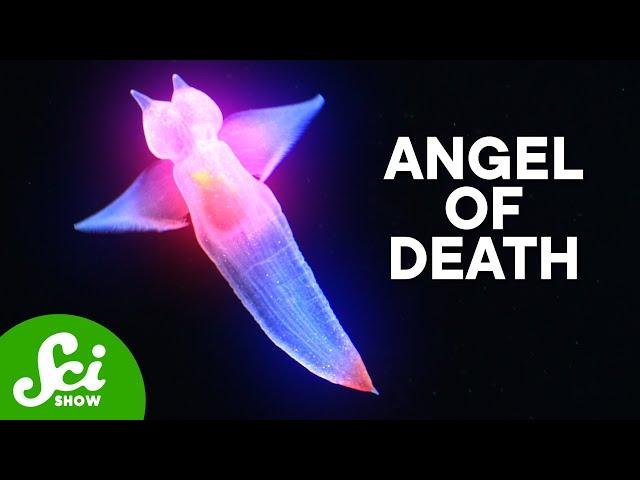 The Deadly Sea Angels