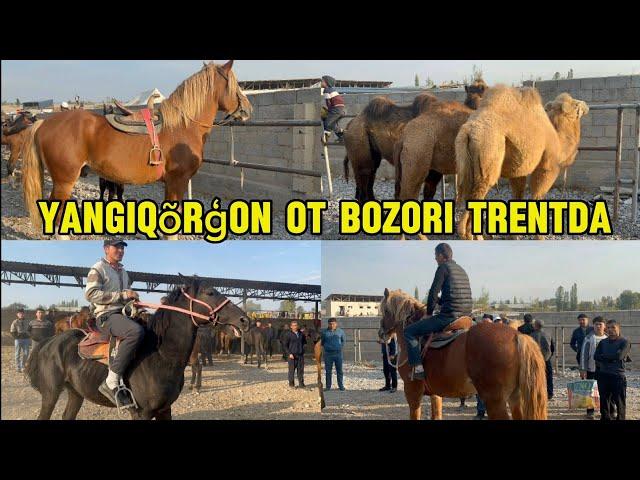 Yangiqõrģon tumani Begabod ot bozori bugungi narhlar bilan tanishing 5.10.2024yil