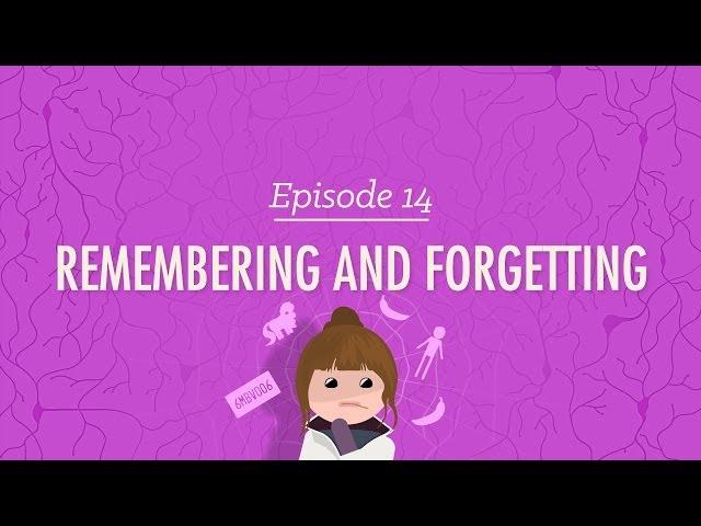 Remembering and Forgetting: Crash Course Psychology #14