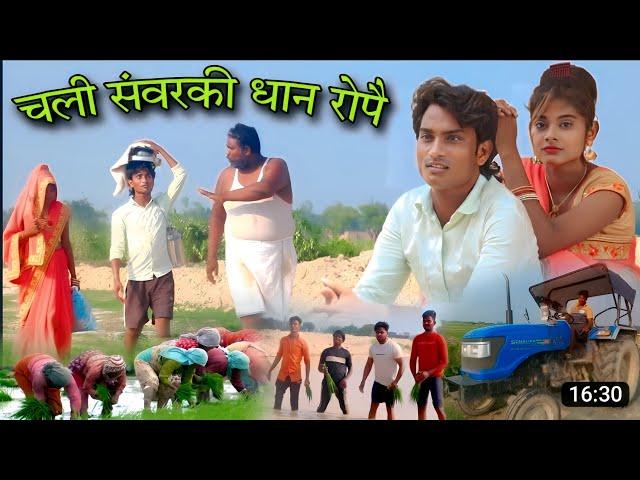 #चली_संवरकी_धान_रोपै फिर आ गई #shailendra_gaur की और एक ट्रेंडिंग वीडियो #Chali_sanvarki_dhan_ropai