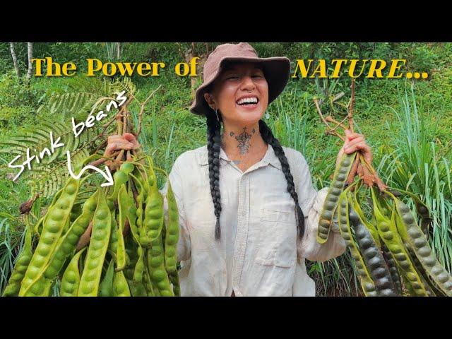 Hunting Exotic Fruits & Veggies in Rural Indonesia  solo backpacking diaries