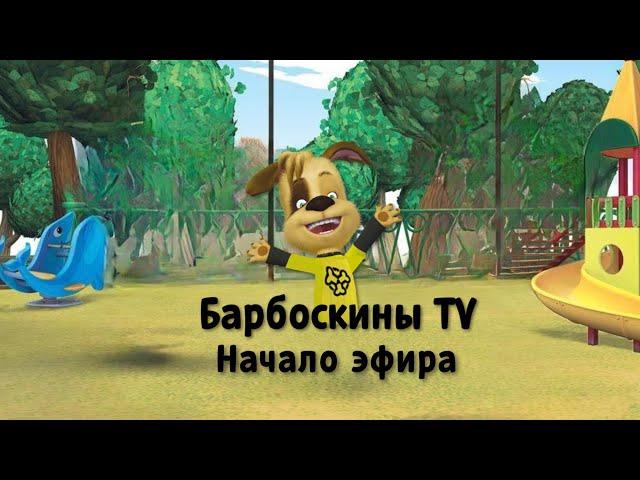 Начало эфира «Барбоскины TV»