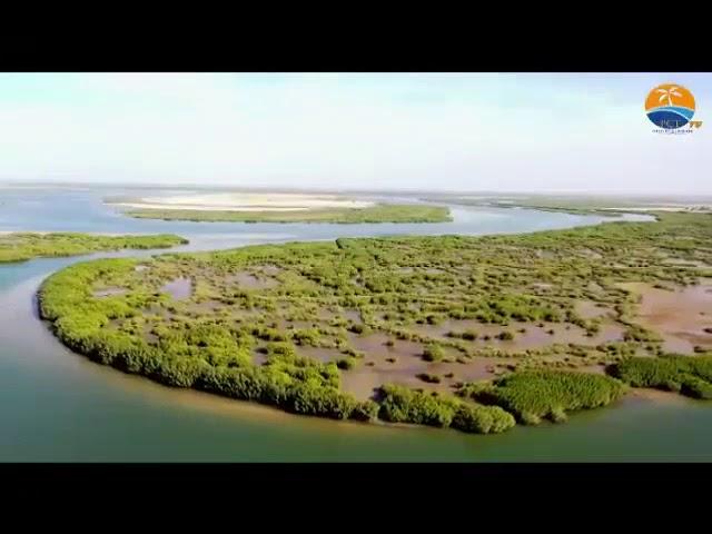 ile du Saloum Commune de Fimela