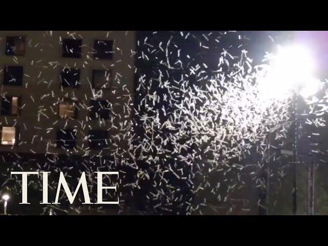 Las Vegas' Huge Grasshopper Swarm Is Showing Up On Weather Radar | TIME