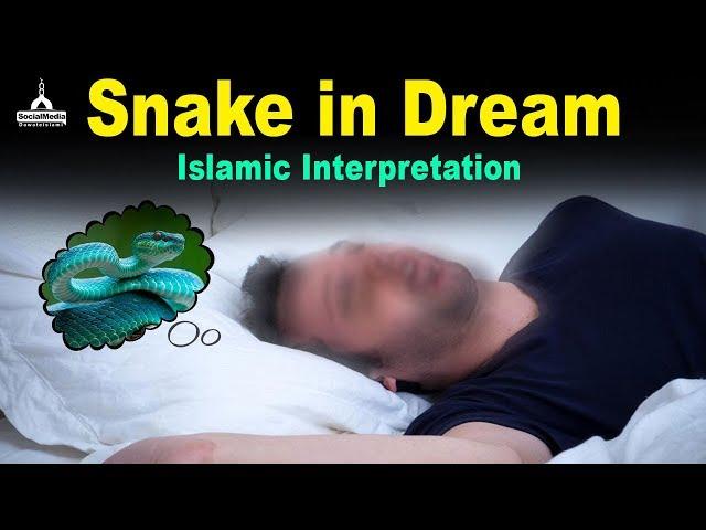 Snake in Dream - Islamic Interpretation