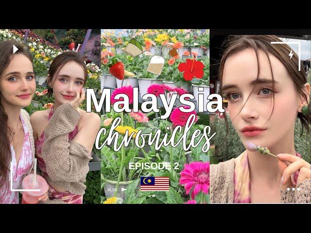 Cameron Highlands Travel Guide | Watch Out For Food Poisoning | British Girl Expat Life In Malaysia