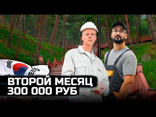 Работа в Корее. Моя ЗАРПЛАТА!