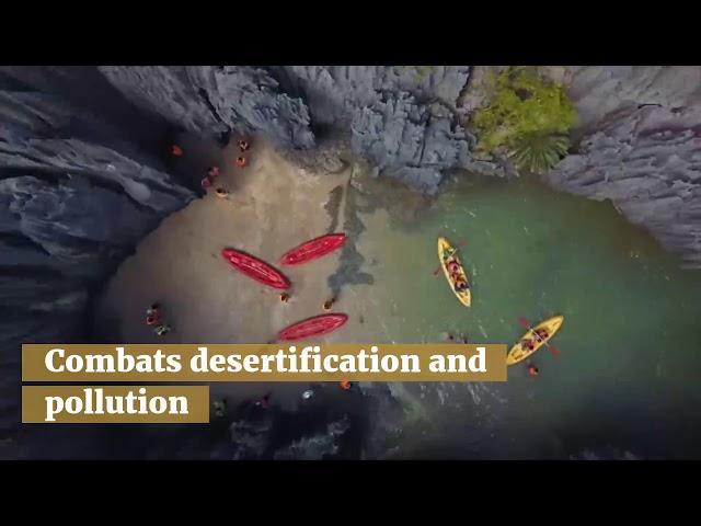 Watch: 5 things you need to know about the importance of Ecotourism