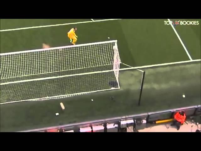 Fulham Chris David Goal vs Crystal Palace (11/05/14)