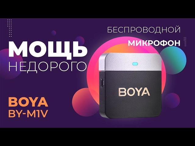 Очень круто и недорого - беспроводные петличные микрофоны BOYA BY-M1V