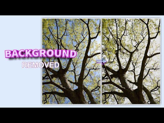 Remove Background in Photoshop -Trick #shorts