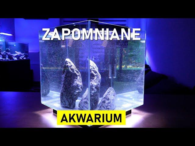 Newa - Zapomniane Akwarium